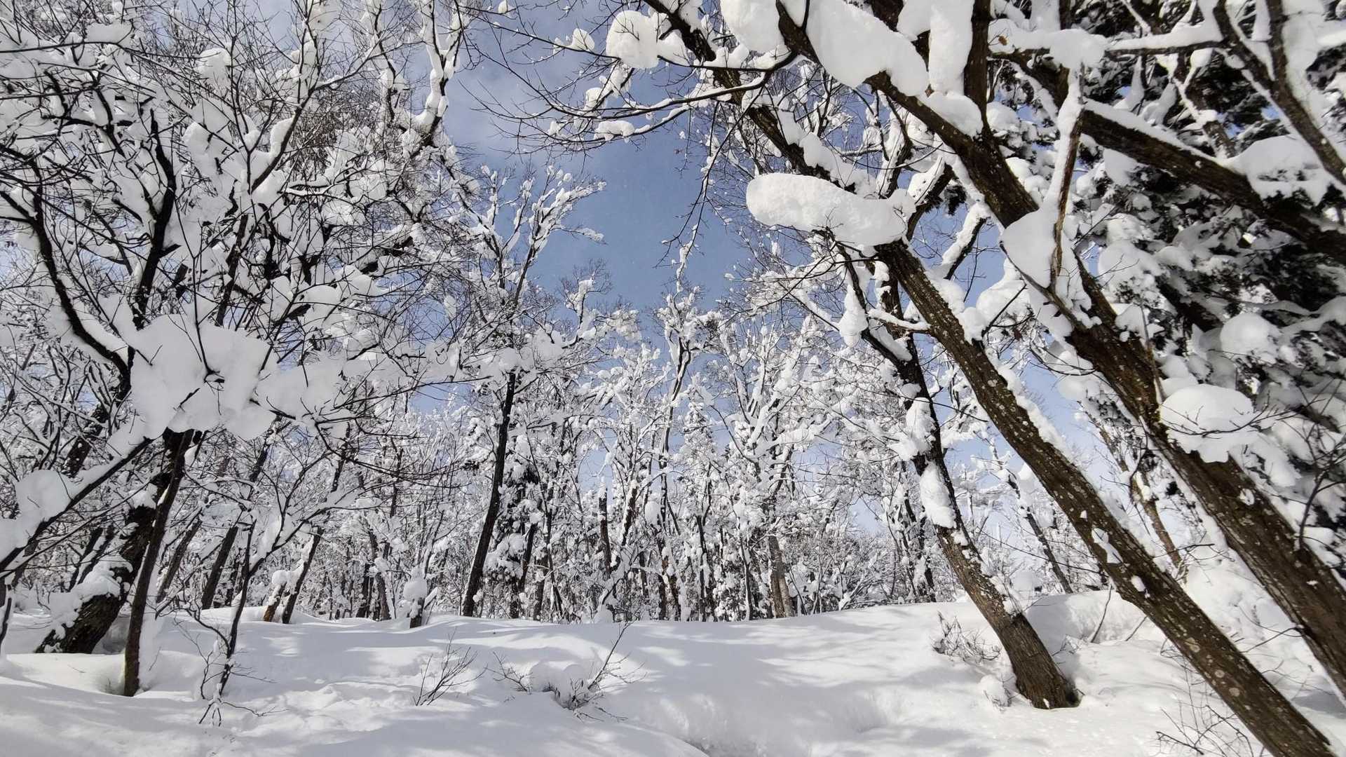 愛宕山 往復コースの写真