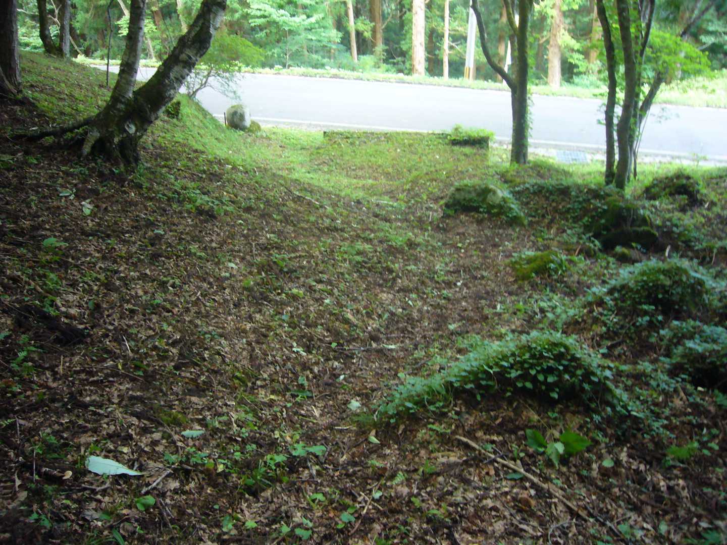 それにしても草刈り立派だ