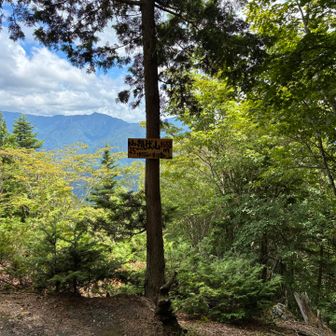 下って登って20分ほどで熊伏山山頂登頂⛰️
展望もあって気持ちの良い山頂でした。