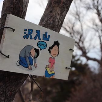 そうりってよむからsorryなんだね！
さわいりって呼んでたから無理やりすぎない…？って思った🤣