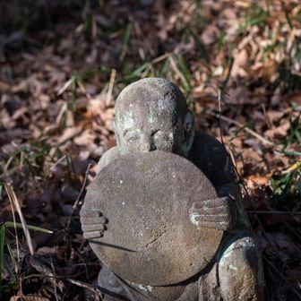 一つ一つが全く違う表情で、いろんなキャラクターがあり