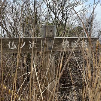 帰りは横峰越へ