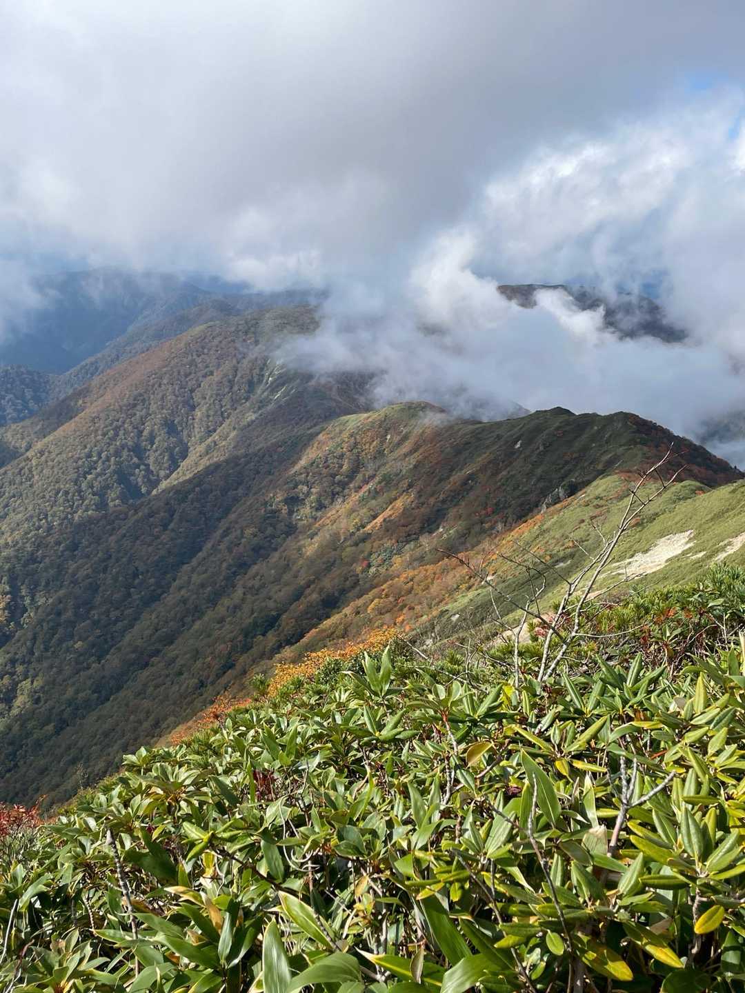 大峠-流石山-大倉山-三倉山 往復コースの写真