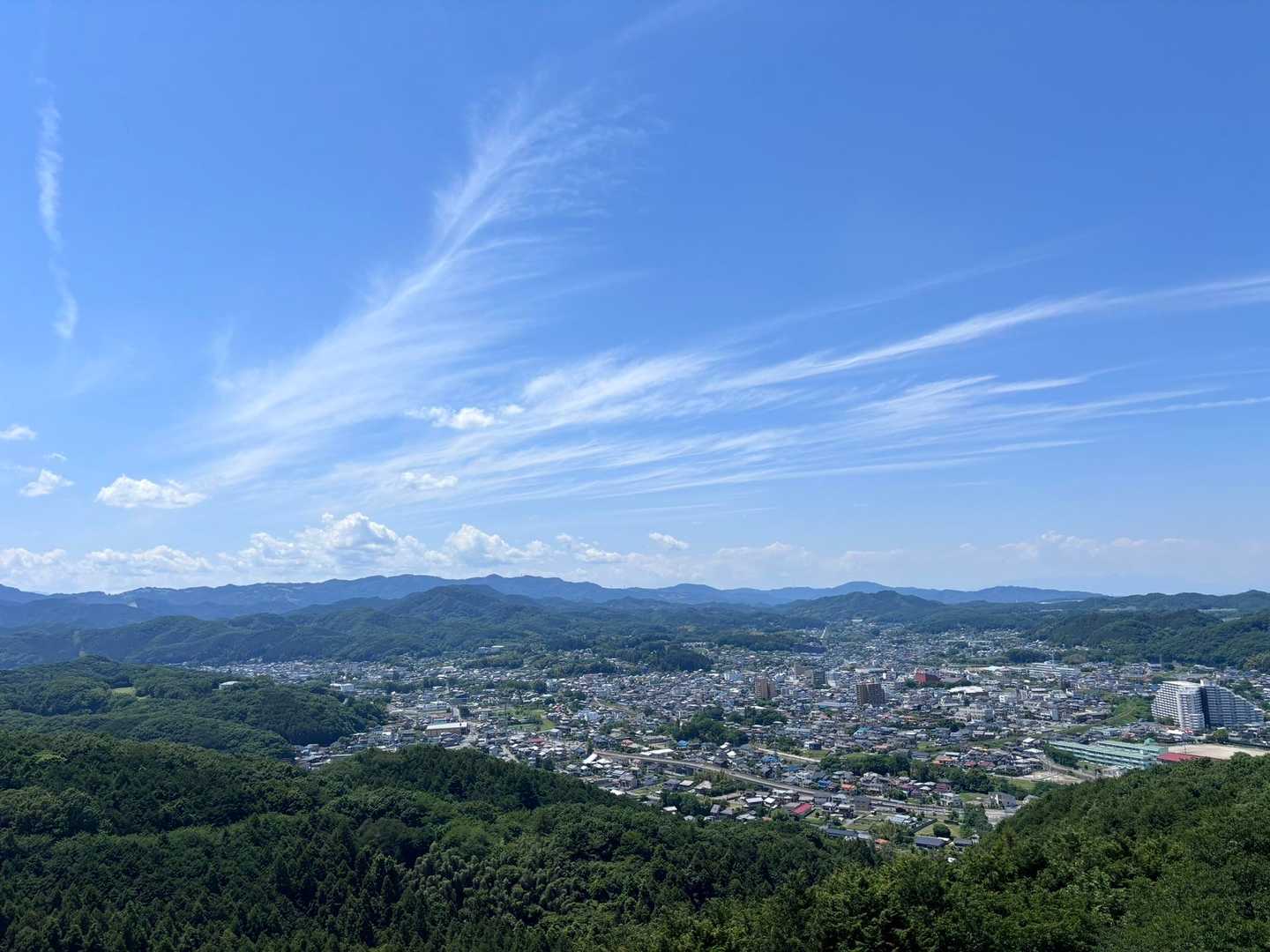 仙元山 往復コースの写真