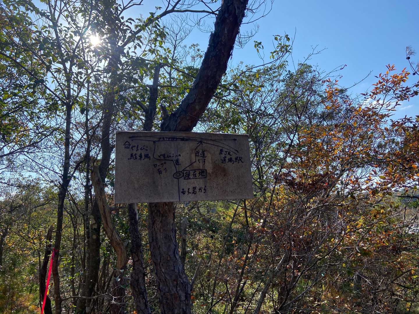 近道で帰ります！