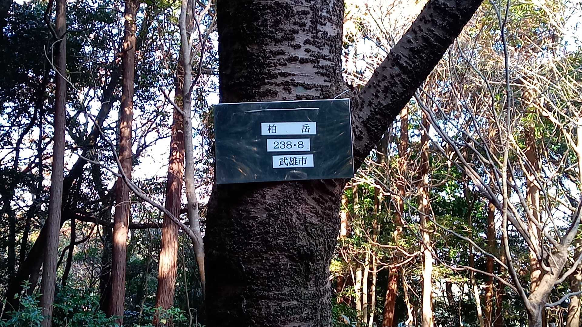 柏岳の写真