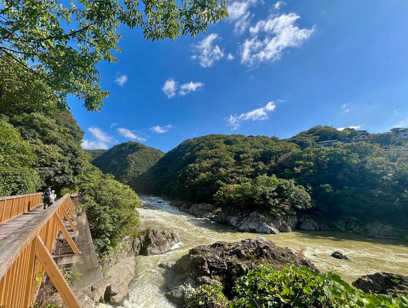 山本駅-満願寺西山-長尾山-中山-取り付き-大峰山-林間広 縦走コースの写真