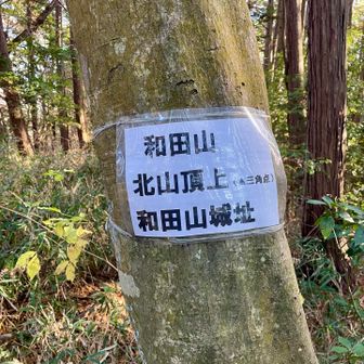 和田山登頂⛰️ここにも城があったんやな！