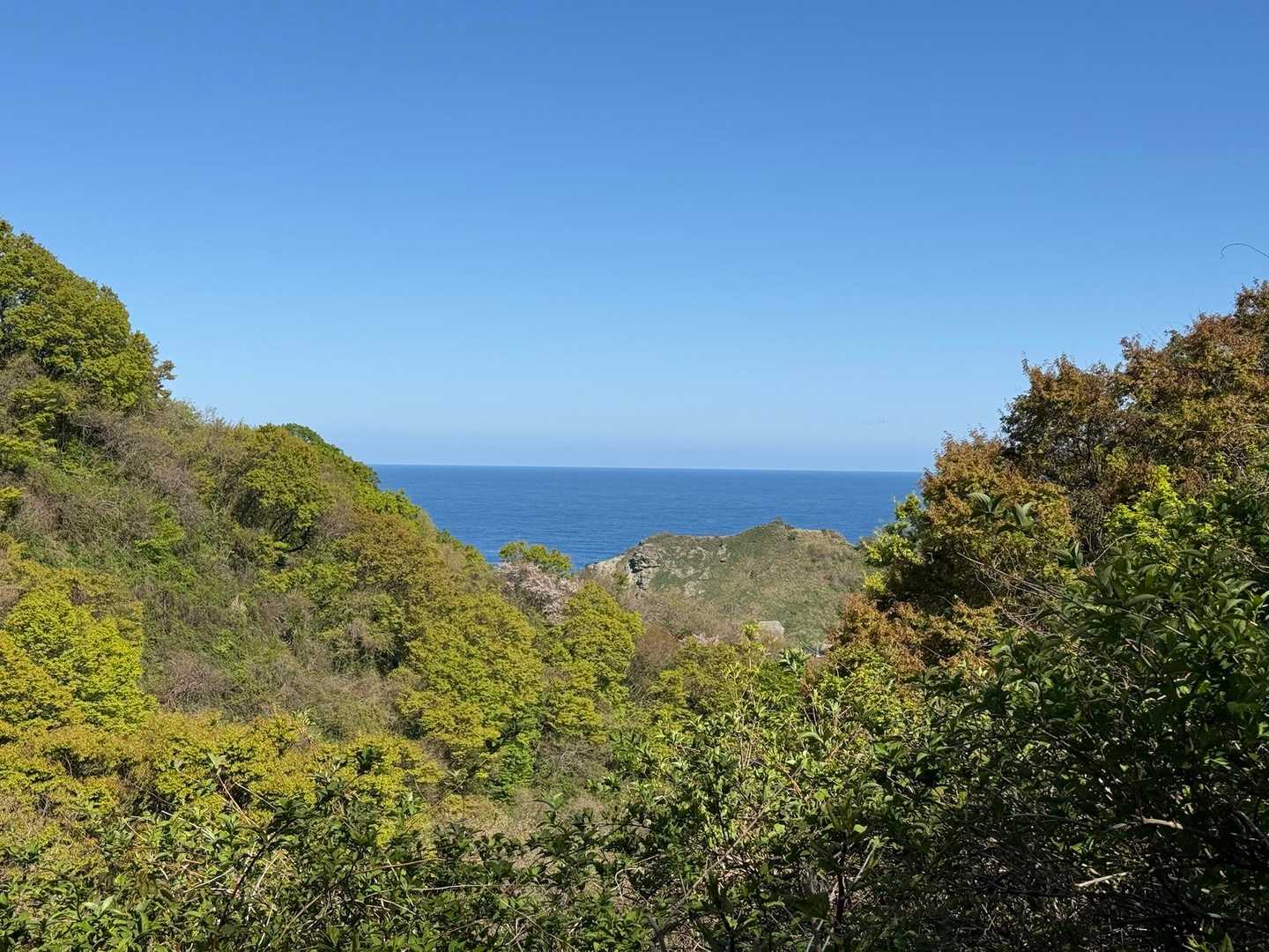 荒倉山 往復コースの写真