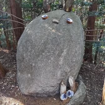 トトロがいた🎶