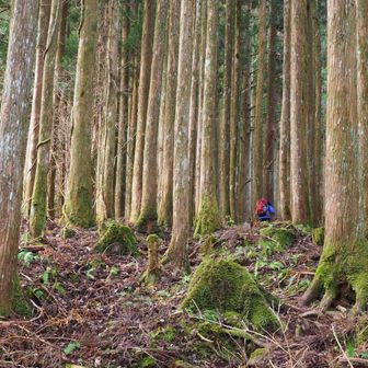 お邪魔しまーす