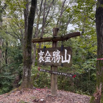 裏金勝山⛰️