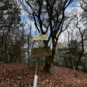 ここを行き交う人はほとんど縦走する人達だ😊