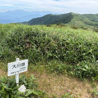 山頂風景