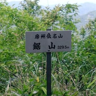 やっとこさ鋸山到着