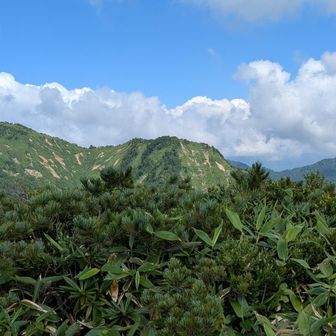 新潟方面は晴れ