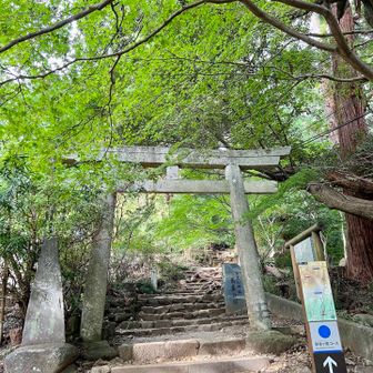 足が攣ることもなく
足がもつれることもなく
無事下山🙌