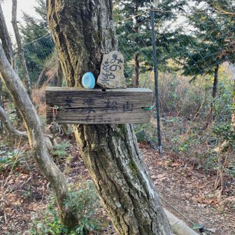 美濃松山到着🛬

さすがに時間も時間なのでここいらでUターンとします

おつかれ山でした⛰️
