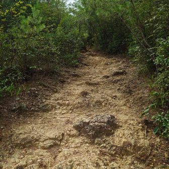 鳩吹山最後の登り