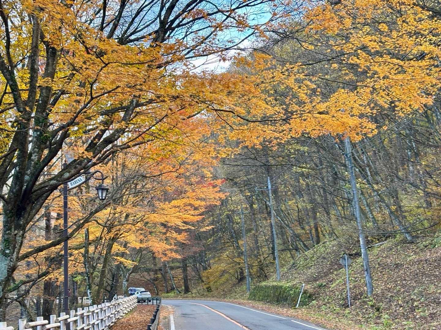 黄葉の鋪道