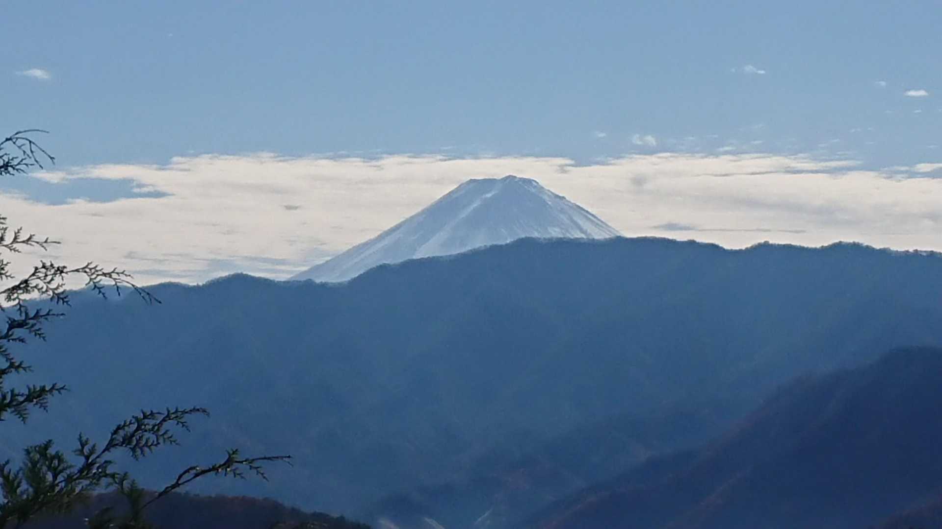さんふじあっぷ