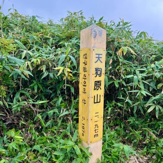 天狗原山まで戻ってきました。