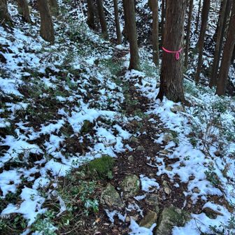 下りはmont-bellのチェーンスパイクを履いて下りました。
ものすごく快適に歩けました。履きやすいですし、買って良かったです。あとは耐久性ですね。