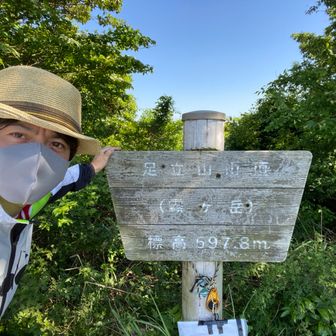 アメ⭐︎ショー