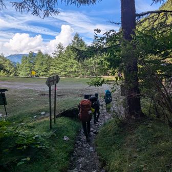 下山はサクサク2時間半ほどで鳥倉登山口に到着😆