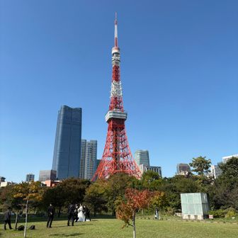 プリンス芝公園からの東京タワー。新海誠監督『天気の子』に出てきた公園のモデルがここ。この日は大変天気がよろしかった。つまり……？