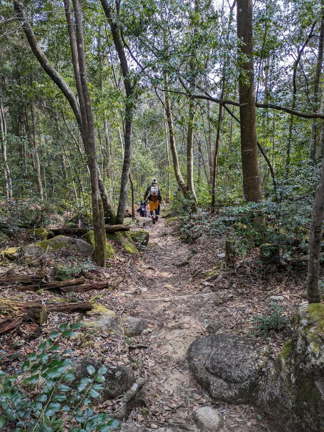 行きも一緒だったキッズ
帰りも遭遇
今日はとても癒されました
ありがと😁