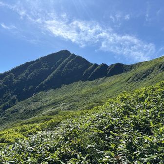 ピラミッド峰、登りたいかって⁉️
うーん、眺めてるだけでいい
