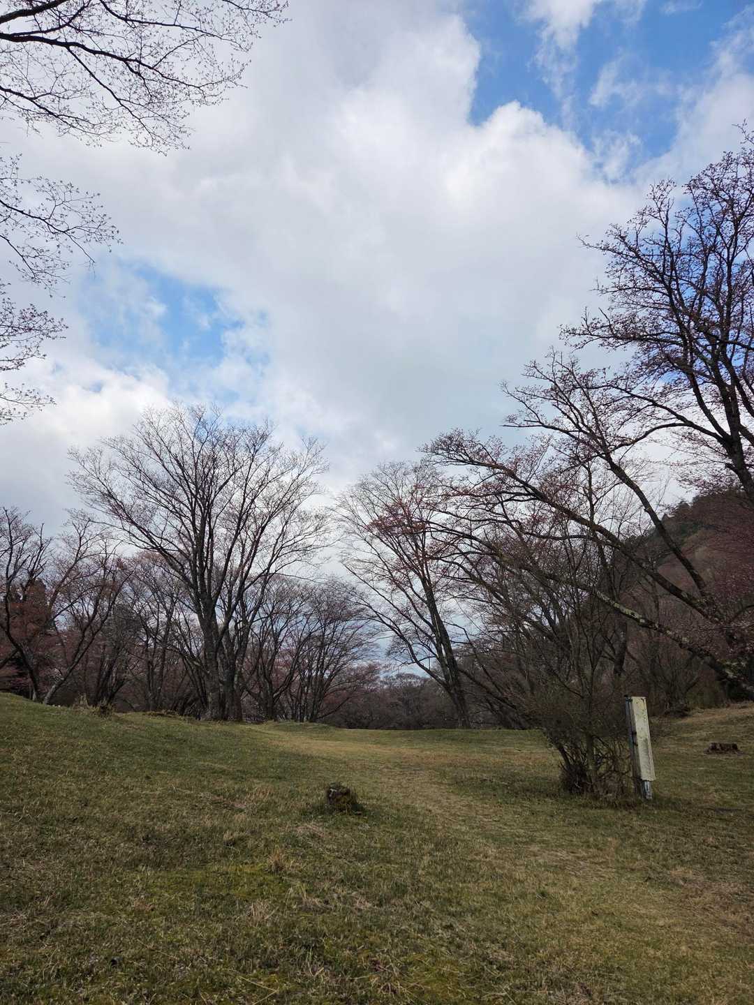 人の気配は無く静かな広場でした