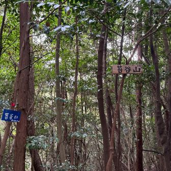 前回とほぼ同じ画角の山頂プレート