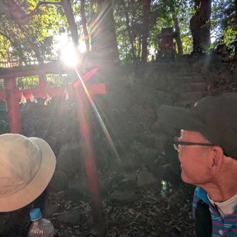 高田富士🗻