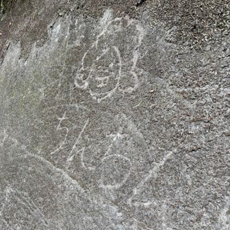うちのご子息くんレベル😅