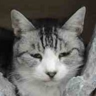 すろばきあラム