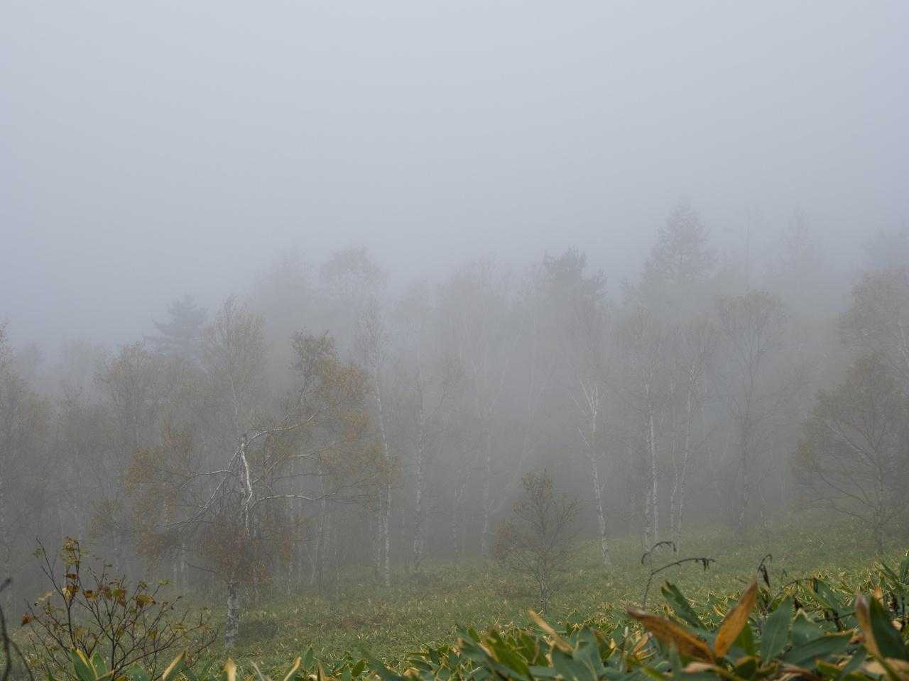 角間峠-角間山 周回コースの写真