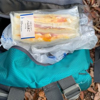 今日もサンドイッチ🥪