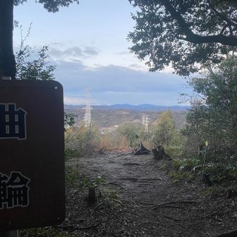 　|曲|
　|輪|　🏞️
🌱🌱🌱🌱🌱

曲輪からの眺めも、良し‼️