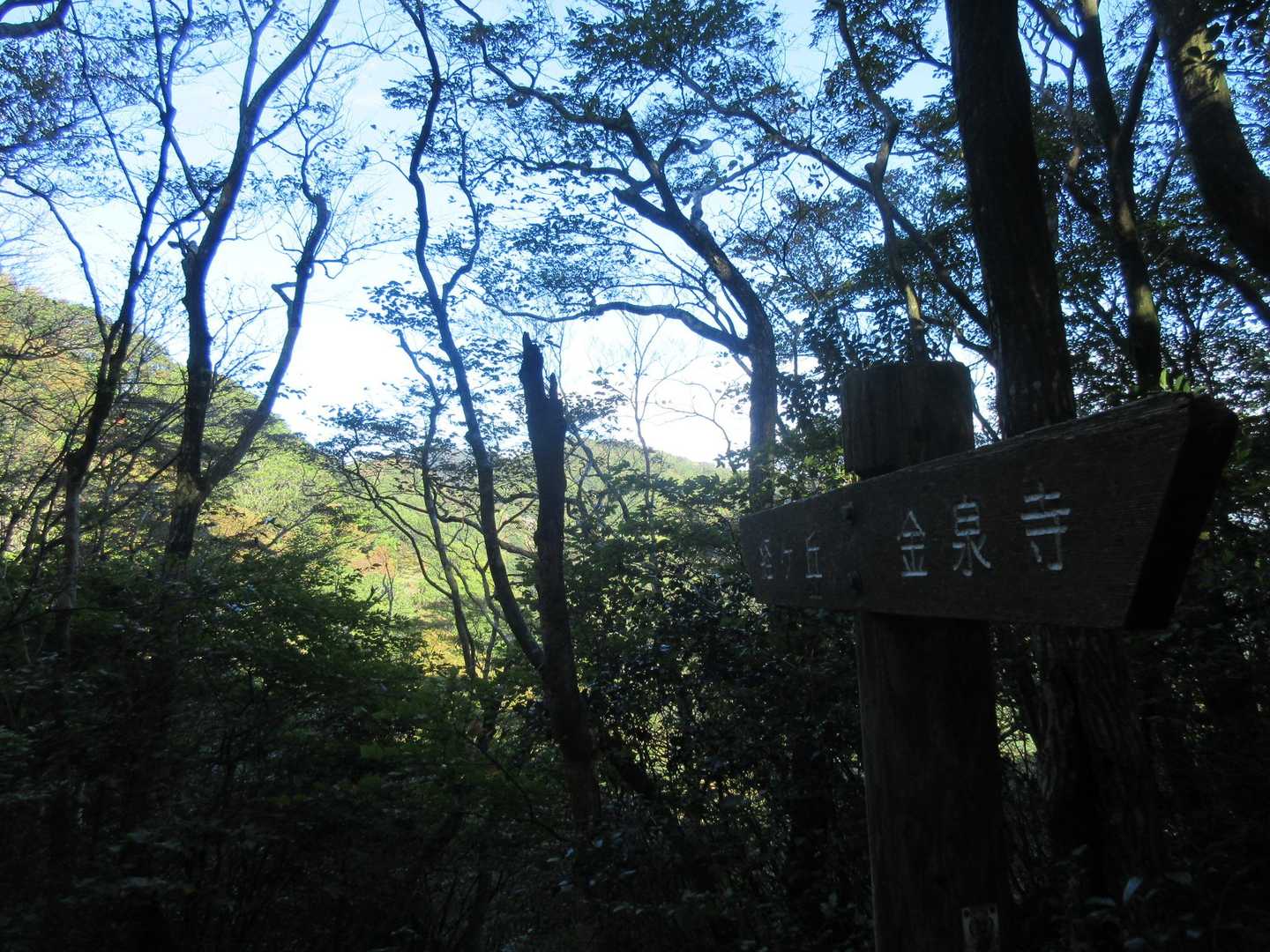 向こう側は経ヶ岳（佐賀県最高峰）です。

今日は行きません。
