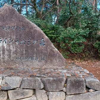 うぬまの森到着❗イベント出来る広場です❗