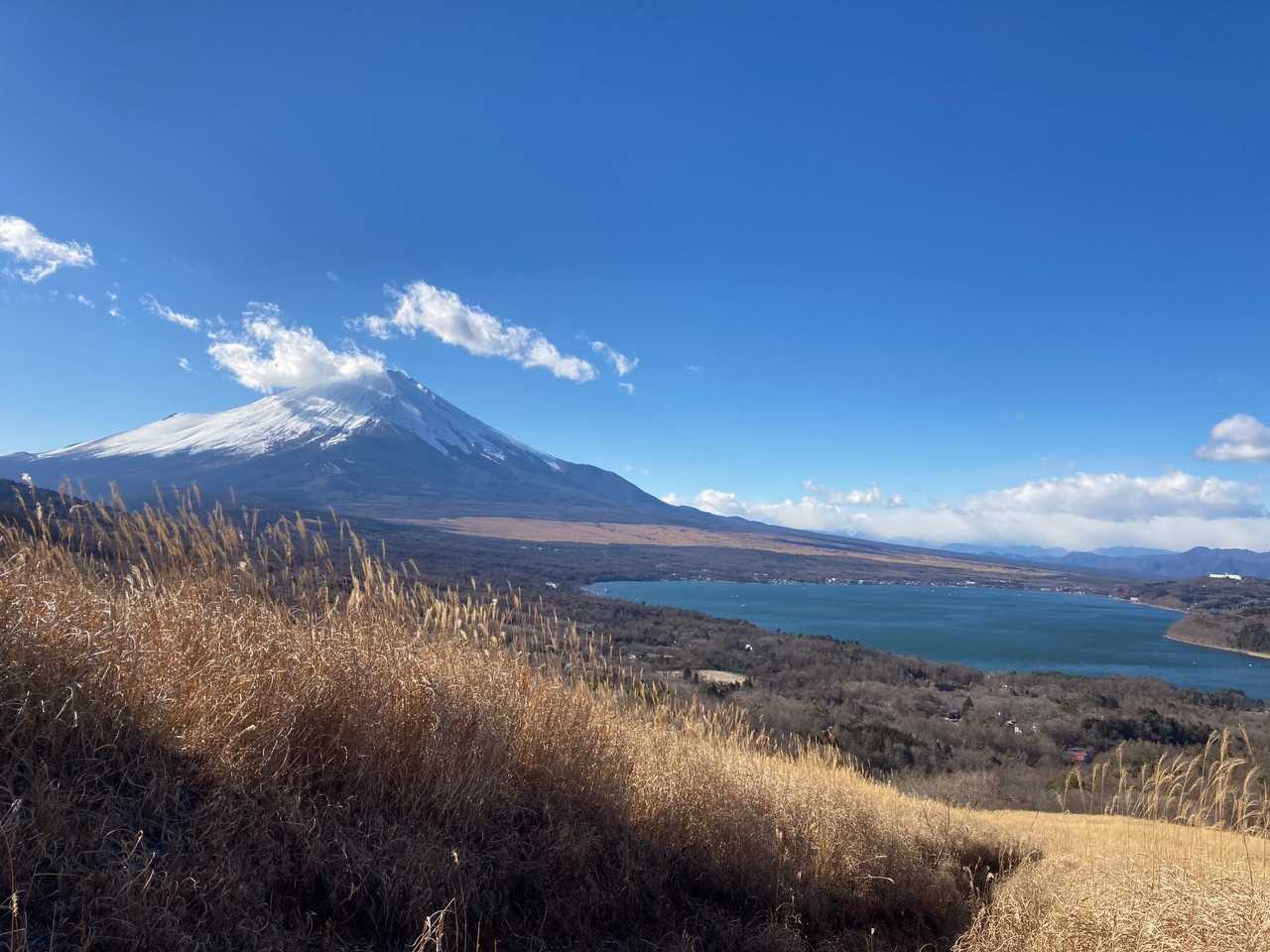 鉄砲木ノ頭-三国峠 周回コースの写真