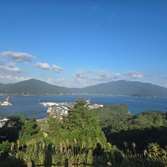 定点観測