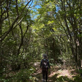 北の頂へ
