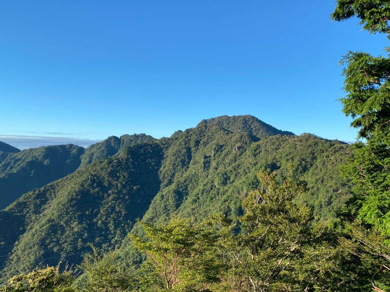 今から行く、笠捨山ですが、ここから下りって事は登り返しがアルやん🤣