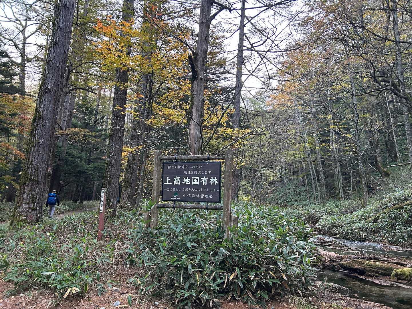 梓川に沿って点在する湿原・池塘・草原に魅せられながら、穂高連峰の懐への写真