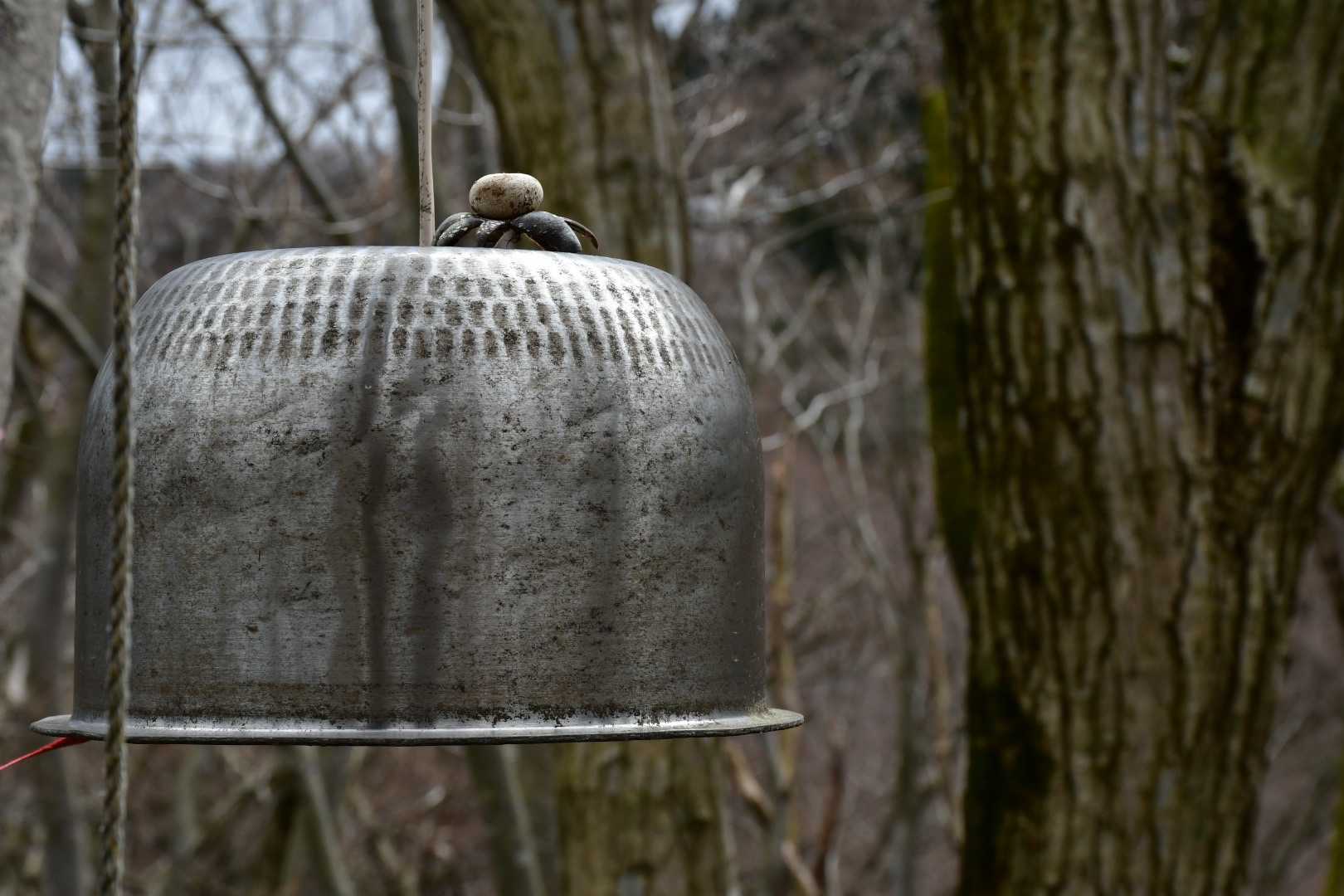 拾った変なの 乗せてみる