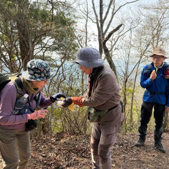 山友さんからのりんご🍎タイム