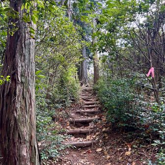 すっかり馴染んだけど
このステップのおかげで
かなり登りやすくて
助かります(•̥̑.̮•̥̑)ｱﾘｶﾞﾄ-